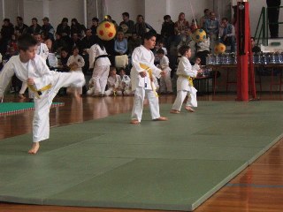 Image description